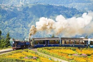 Darjeeling Toy Train journey amidst hills and flowers, ideal for traveling, exploring, tour planner trips.