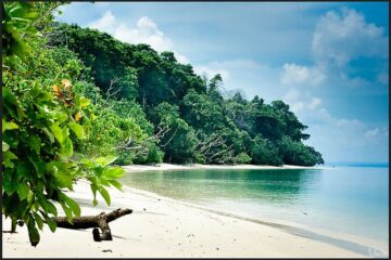 Elephant beach Andaman Islands 2009